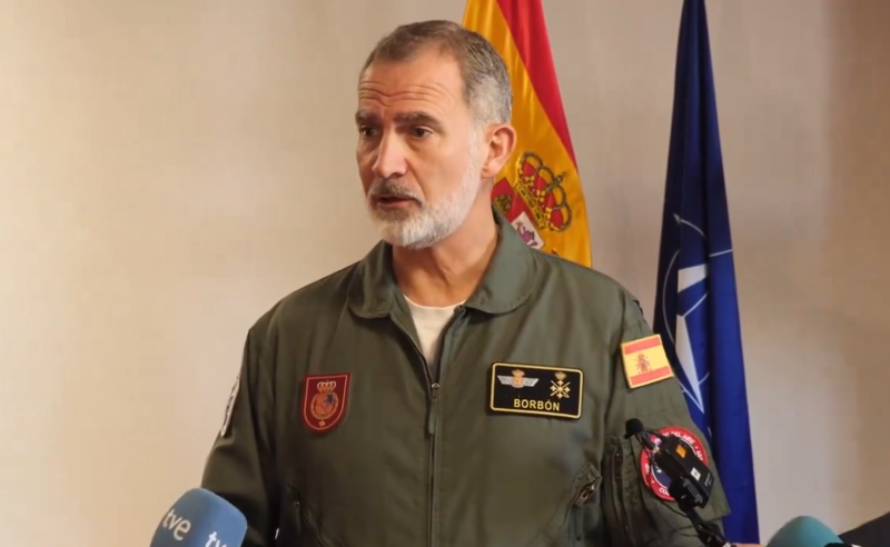 Rey Felipe VI