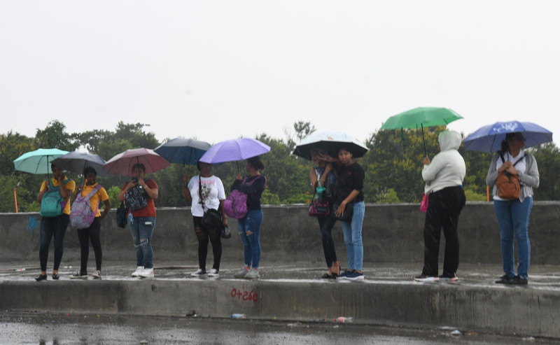 Varias personas se cubren de la lluvia con paraguas mientras esperan el transporte público.