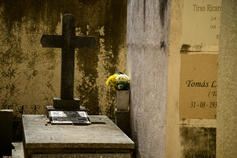 Fotografía muestra tumba con flores por Día de los Fieles Difuntos.