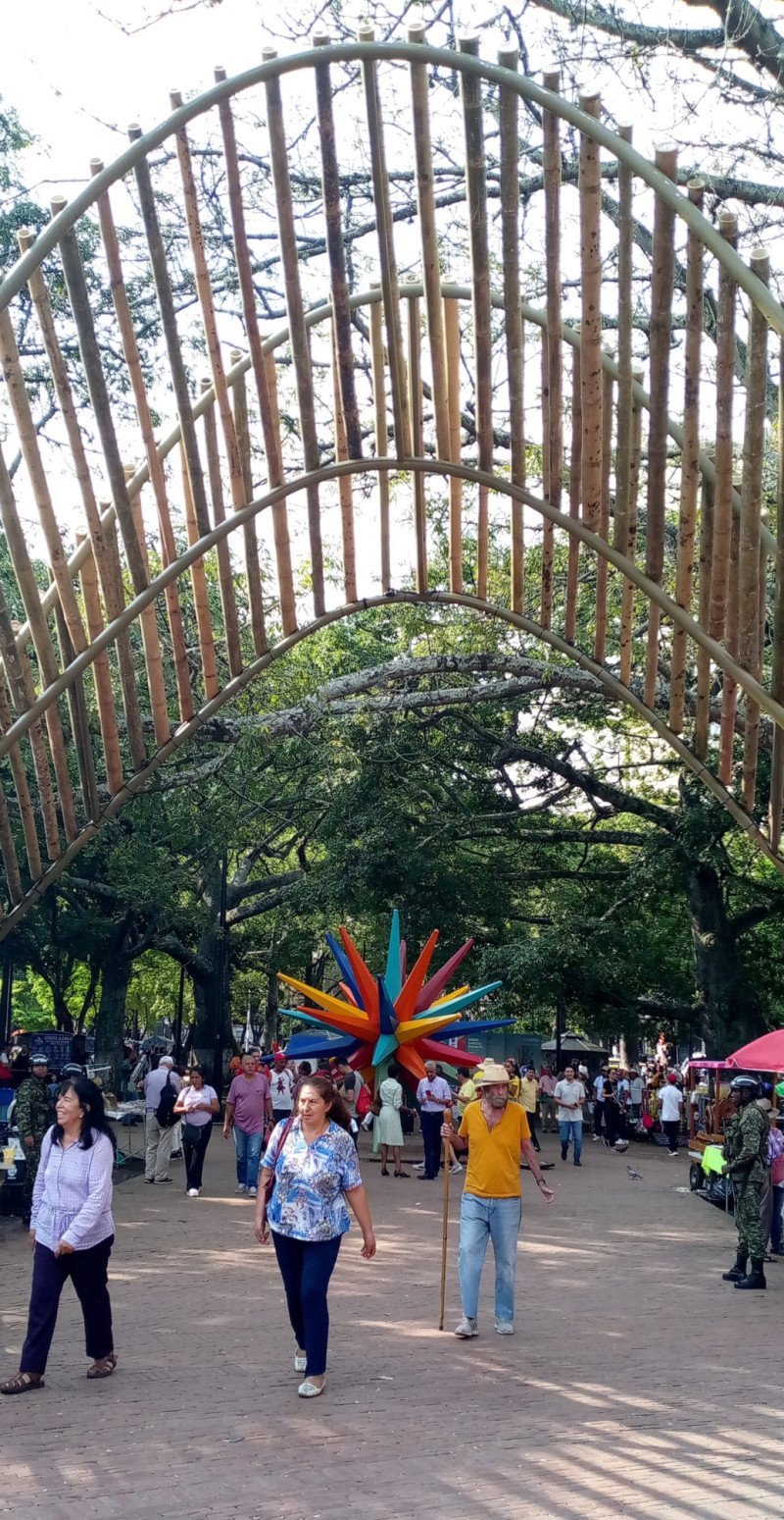 El emblema visual de la COP16 es la flor de Inírida (Guacamaya superba y Schoenocephalium teretifolium). Una escultura gigante de esta especie servía de “guía” a los visitantes en la Zona Verde.