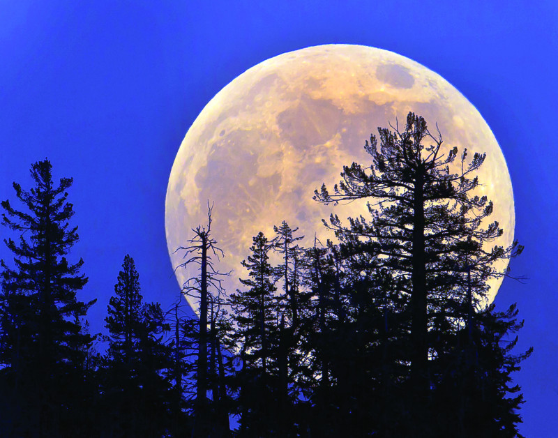 En resumen, esta superluna nos puede ayudar a aprovechar sus energías de transformación y renovación personal.