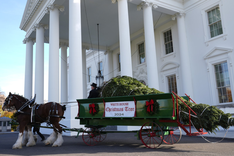 El árbol de Navidad oficial de la Casa Blanca 2024