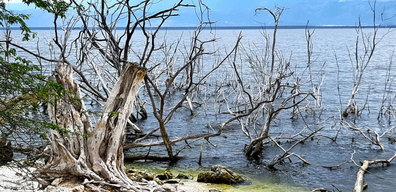 La primera idea conocida en el tema de reservas de biosfera en la República Dominicana se remonta a   año 1987, explica Gloria Santana. En la imagen, el lago Enriquillo.