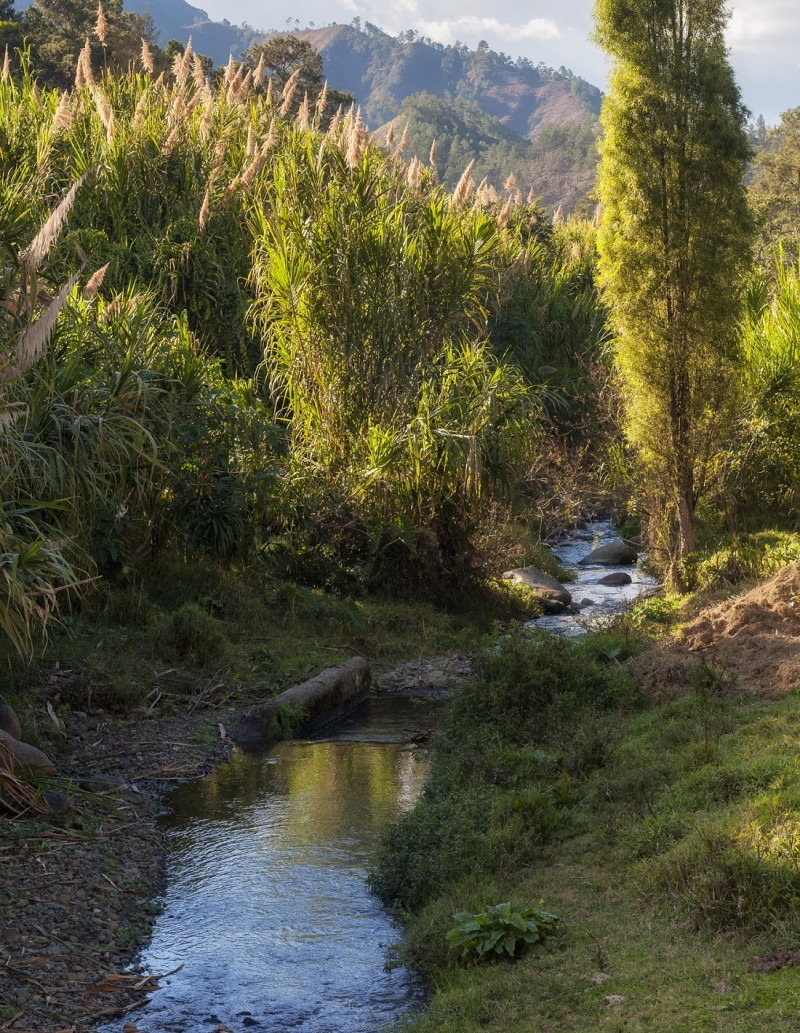 Valle Nuevo. Los esquemas de gobernanza en las reservas de biosfera de la Republica Dominicana están establecidos en el mismo Decreto que crea el Comité MAB Dominicano, el decreto No. 212-10.