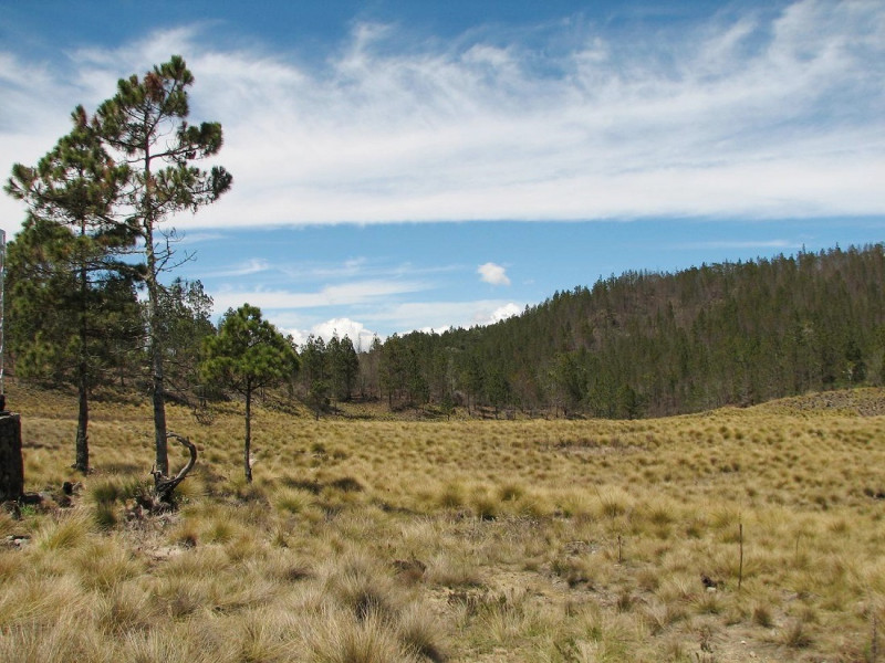 En este punto comienza el Sendero Ecológico Valle Nuevo, a un costado de Las Pirámides.