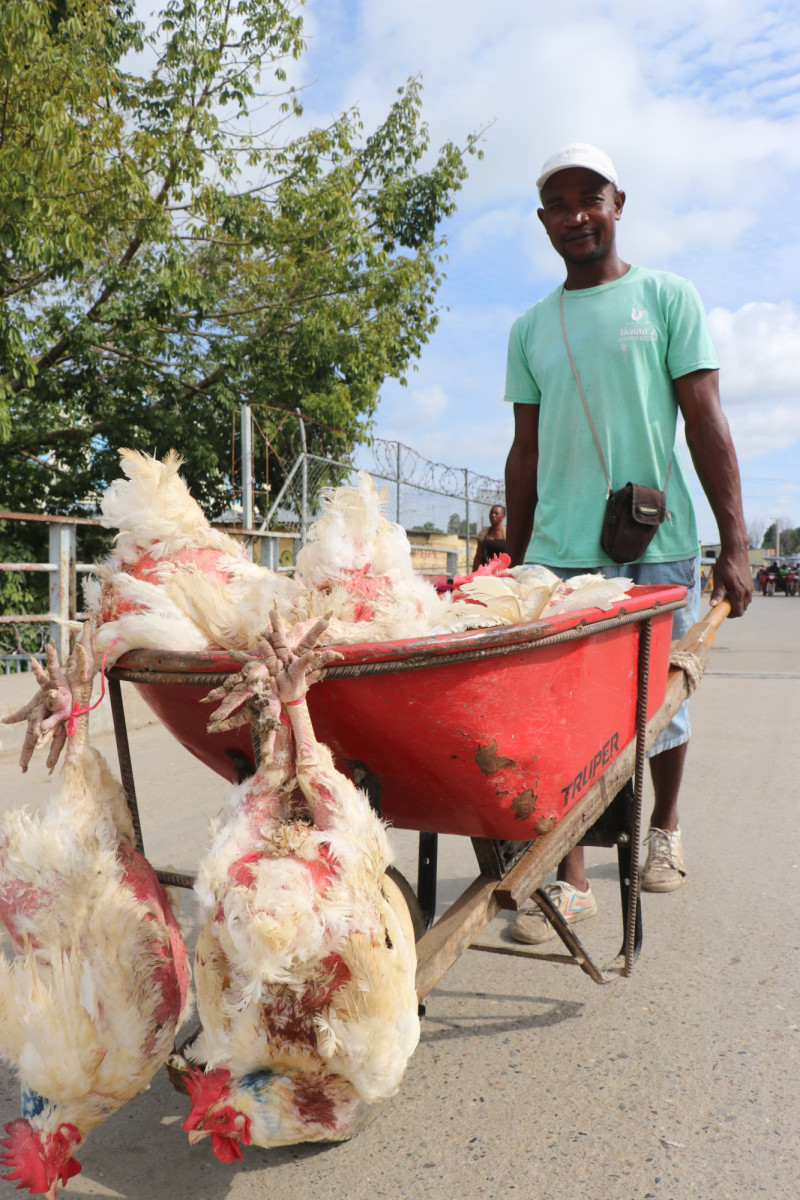 Vendedor haitiano de pollos.