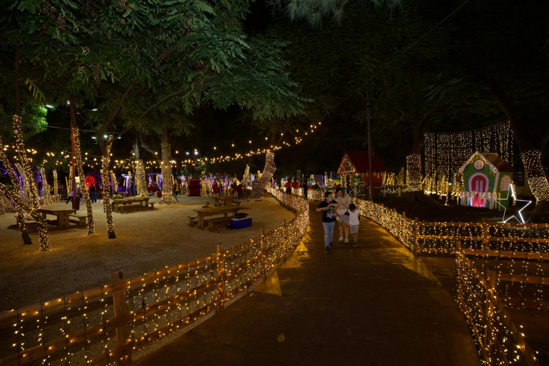 Parque adornado con luces navideñas.