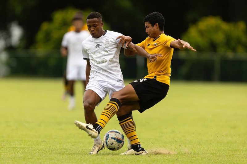 La Liga Dominicana de Fútbol está organizando con suficiente tiempo su próximo torneo superior.