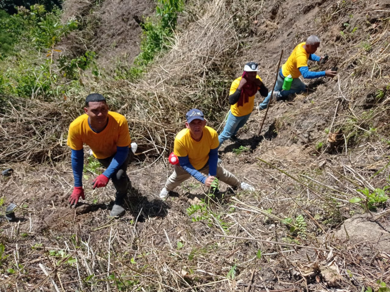 Los privados de libertad en plena faena de siembra de plantas en la cuenca alta del río Nizao.