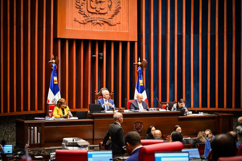 Cámara de senadores durante el desarrollo de una sesión.