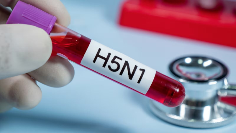 En Estados Unidos al menos 61 personas han contraído el virus H5N1