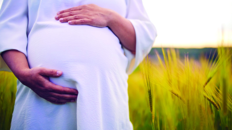 Precisamente el hijo de María, el hijo de Dios, el Señor en quien creemos, reprocha a sus amigos, especial y frecuentemente, estas dos cosas: el temor y la tristeza..