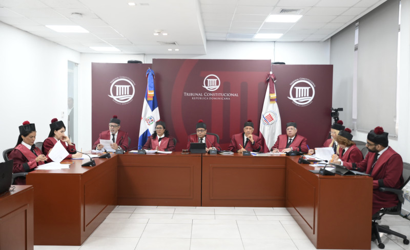 Los jueces del Tribunal Constitucional declararon inconstitucional varios artículos de la legislación electoral.