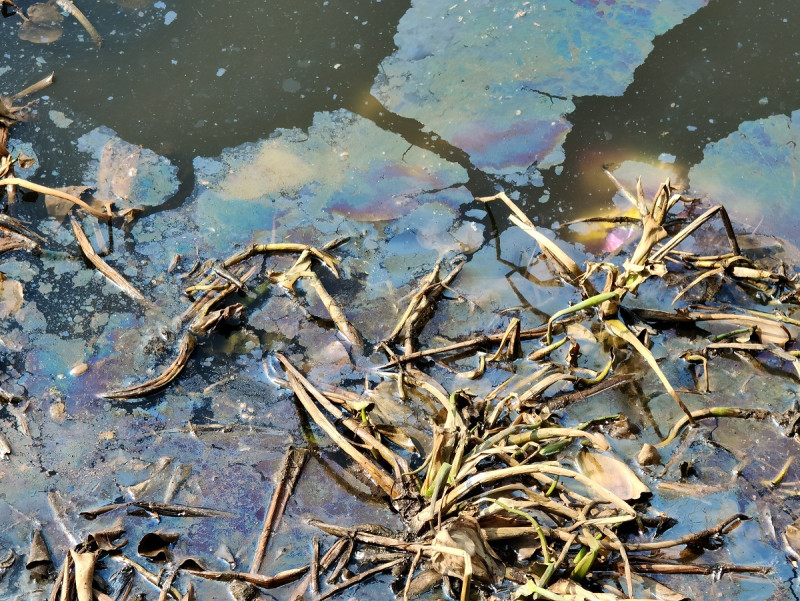 El tema de la contaminación de las aguas en lugar de mejorar, empeoró, analiza el ingeniero hidráulico Leonardo Mercedes, de la Coalición Enriquillo.