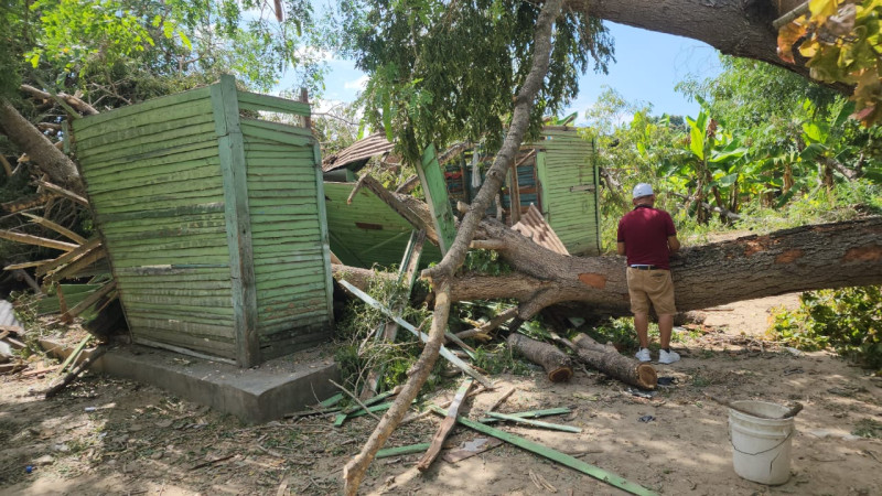 Así quedó la casa de Nidia Altagracia Suárez Pérez, alias Mirita, destruida por un árbol.