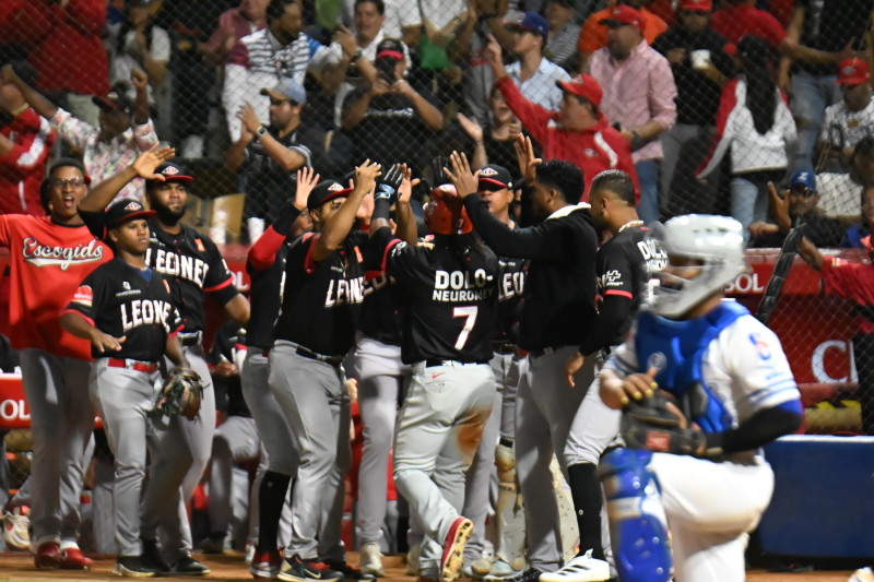 Jugadores de los Leones celebran tras anotar carrera.