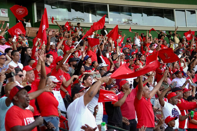 Fanáticos de los Leones del Escogido durante un partido en el estadio Quisqueya Juan Marichal.