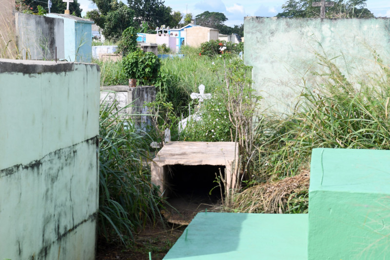 Las tumbas y calles del cementerio Cristo Salvador han quedado entre la maleza.