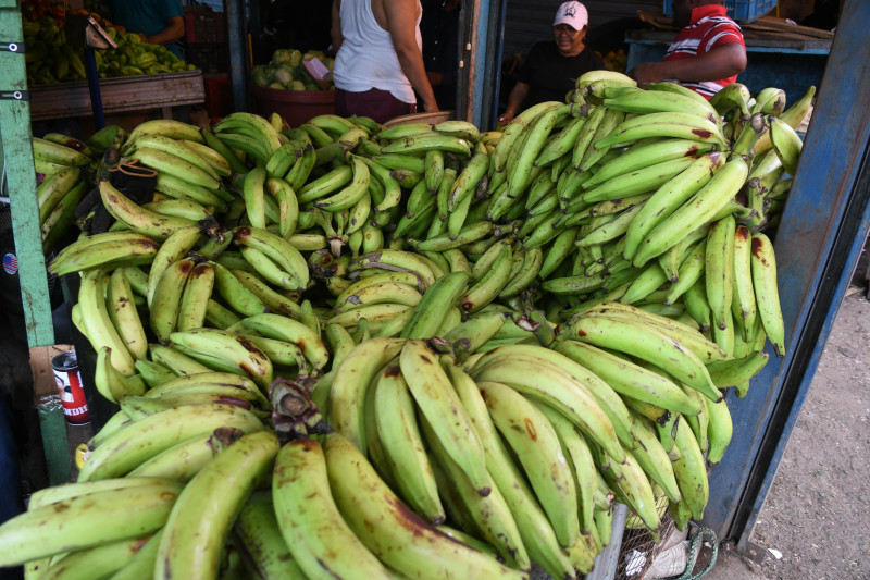 Plátanos en venta en el Mercado Nuevo de la Duarte.