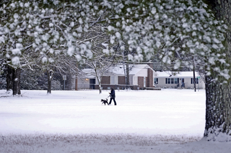 Un residente pasea su perro por un nevado Parque de los Veteranos, el 10 de enero de 2025, en Tupelo, Missouri. (Thomas Wells/The Northeast Mississippi Daily Journal vía AP)