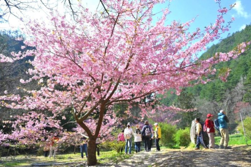 Cortesía de la Granja Wuling