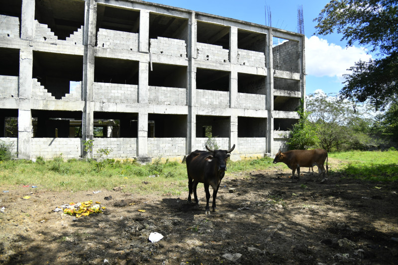 Personas del sector Palmarejo utilizan la edificación para el pasto de animales.