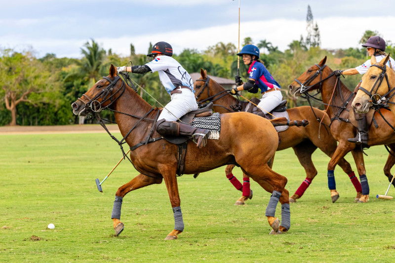 Acción durante una pasada jornada de polo.