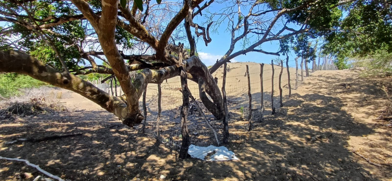 El cerco de predios con alambradas continúa en áreas de las Dunas,  mientras su protección de sigue sujeta a un plan que incluye la construcción de torres de vigilancia, garitas y acuerdos entre el Ministerio de Medio Ambiente y Recursos Naturales y La Armada Dominicana.