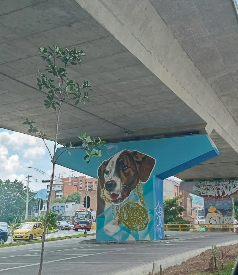 Murales pintados por los chicos que hacen grafiti