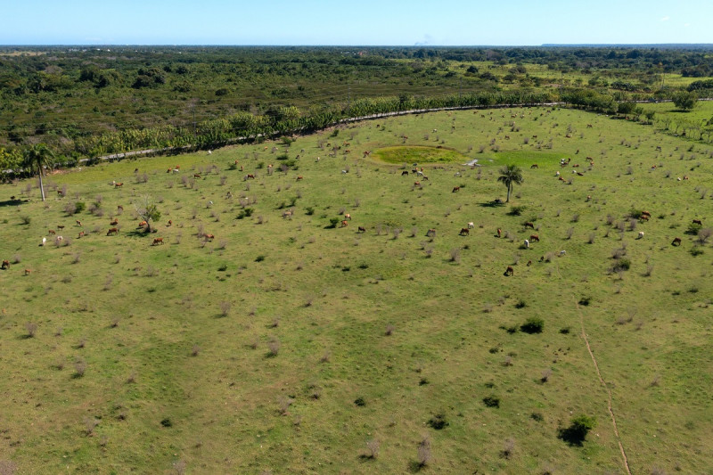 Mercedes trabaja en el  estudio “Potencial de captura de carbono en las áreas de producción ganadera”.
