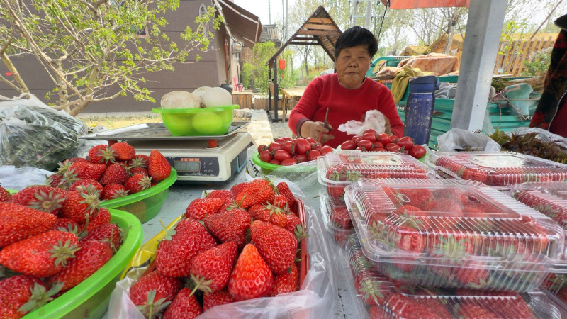Cinco Yuanes, moneda oficial de China, es el pago por 500 gramos de fresas, unos 30 yuanes menos que en los supermercados de Beijing