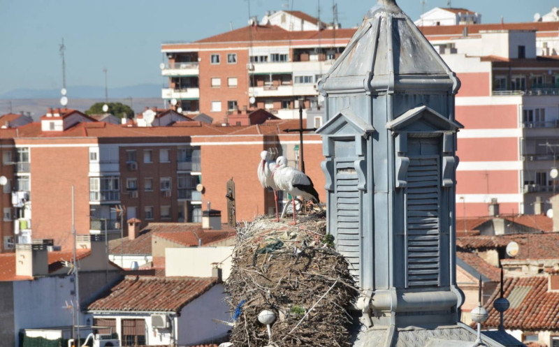 Alcalá de Henares, España