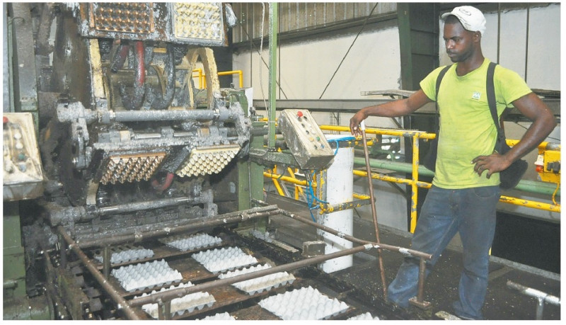 La empresa ya tiene 40 años en la distribución y fabricación de cartones de huevos.