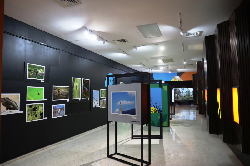 Exhibición de Enfoque Fauna en la sala de exposiciones del MNHN.