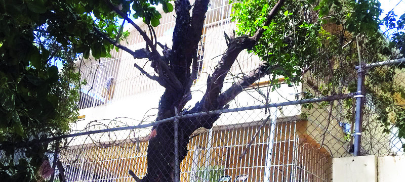 Suspenden clases en escuela de Santiago Oeste por deterioro