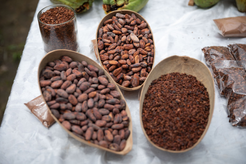 Fotografía de derivados del cacao exhibidos en una finca de Tacarigua, estado Miranda (Venezuela). Tres son los factores que actúan negativamente en el sector del cacao: la subida de los precios, la escasez de producción mundial que no logra suplir la demanda y las condiciones climáticas adversas. EFE/ Rayner Peña R.