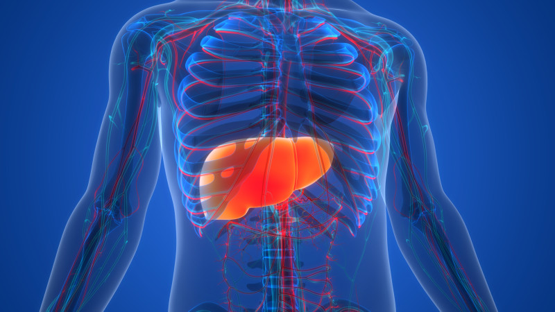 Evitar la hepatitis hoy es prevenir el cáncer de hígado mañana. La acción temprana marca la diferencia.