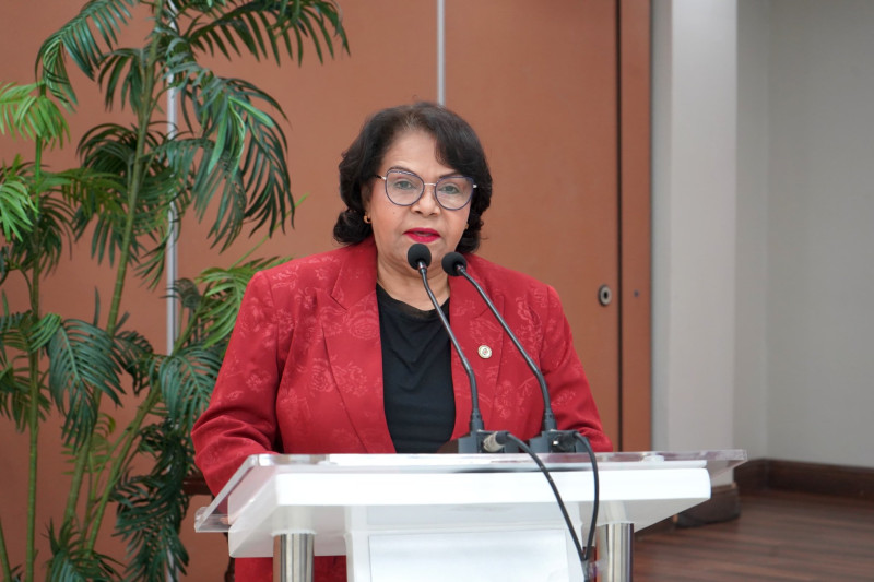 Emma Polanco, presidenta de la Cámara de Cuentas