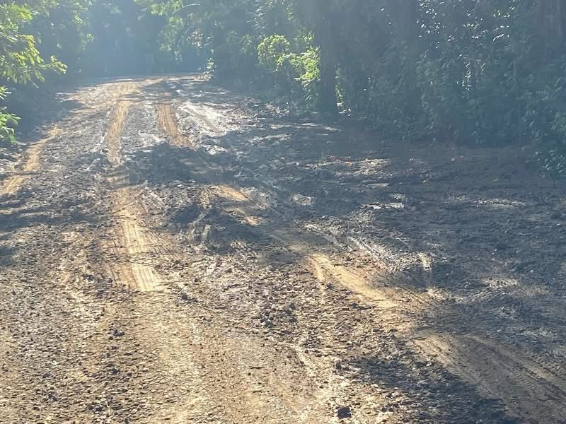 La carretera está en condiciones deplorables.