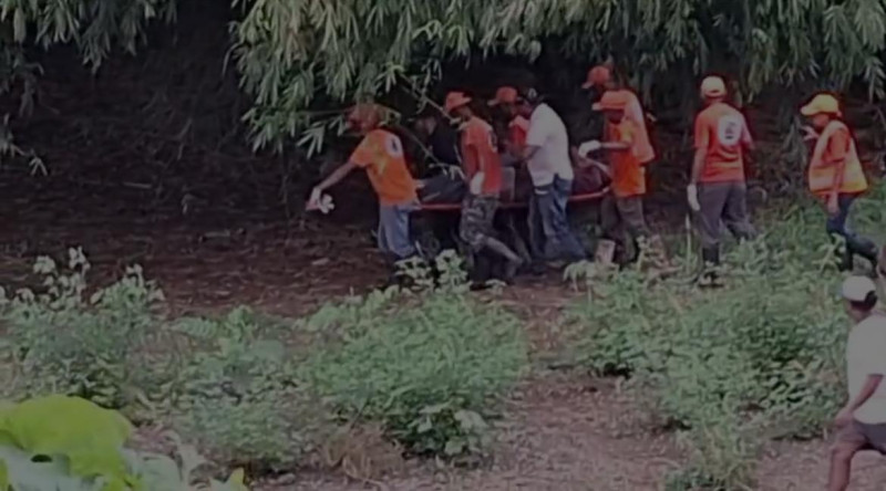 El colapso se produjo la mañana de este jueves.