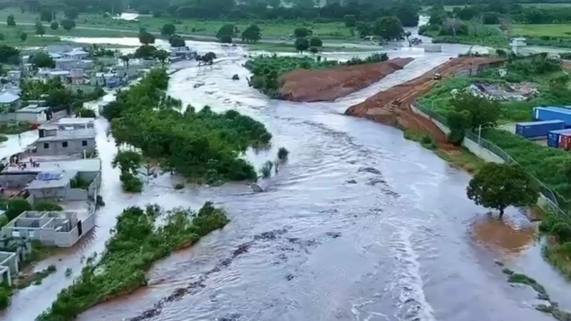 Los productores de arroz temen perder la cosecha del cereal.