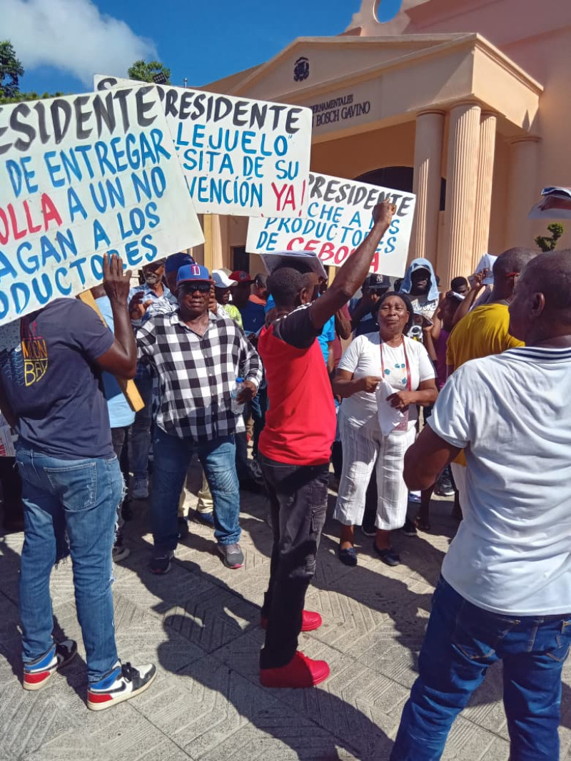 La Unión Nacional de Productores de Cebolla protesta en el Palacio Nacional.
