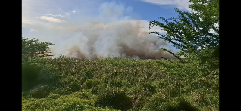 Incendio que afectó a la Laguna del Cabral