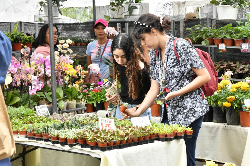 Las actividades se realizarán de 9:00 de la mañana a 6:00 de la tarde.