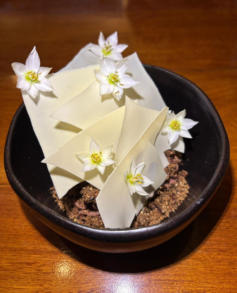 Cremoso de chocolate de la Sierra de Santa Marta