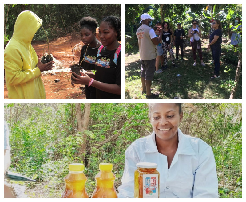Con sede España, Cesal empezó a trabajar en Pedernales con el programa Araucaria, el reconocido programa de la cooperación española para la sostenibilidad ambiental en América Latina.