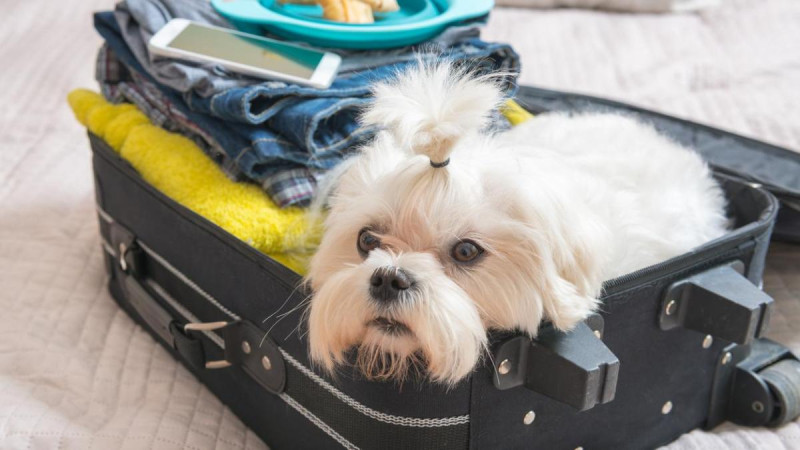 Un Tribunal de Justicia de la Unión Europea (TJUE) determinó esta norma.