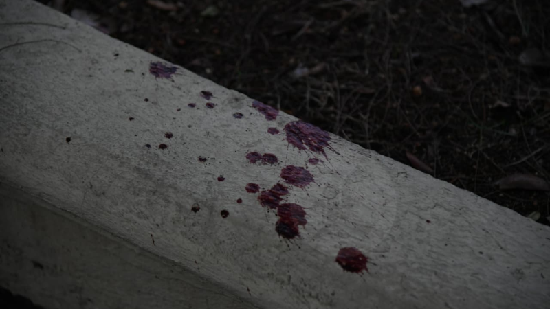 Rastro de sangre en el incidente en la Universidad Autónoma de Santo Domingo (AUSD) donde resultaron heridos dos servidores de la casa de estudio.