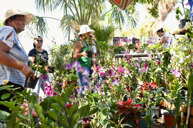 Personas compran orquídeas en tradicional Festival Nacional de Plantas y Flores.