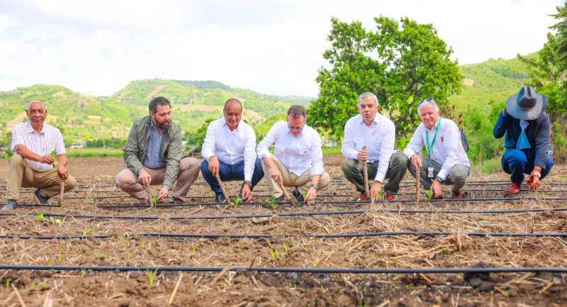El director del Intabaco, Iván Hernández Guzmán, encabezó ayer la apertura de la siembra del cultivo junto a funcionarios y productores en Jacagua, provincia Santiago.